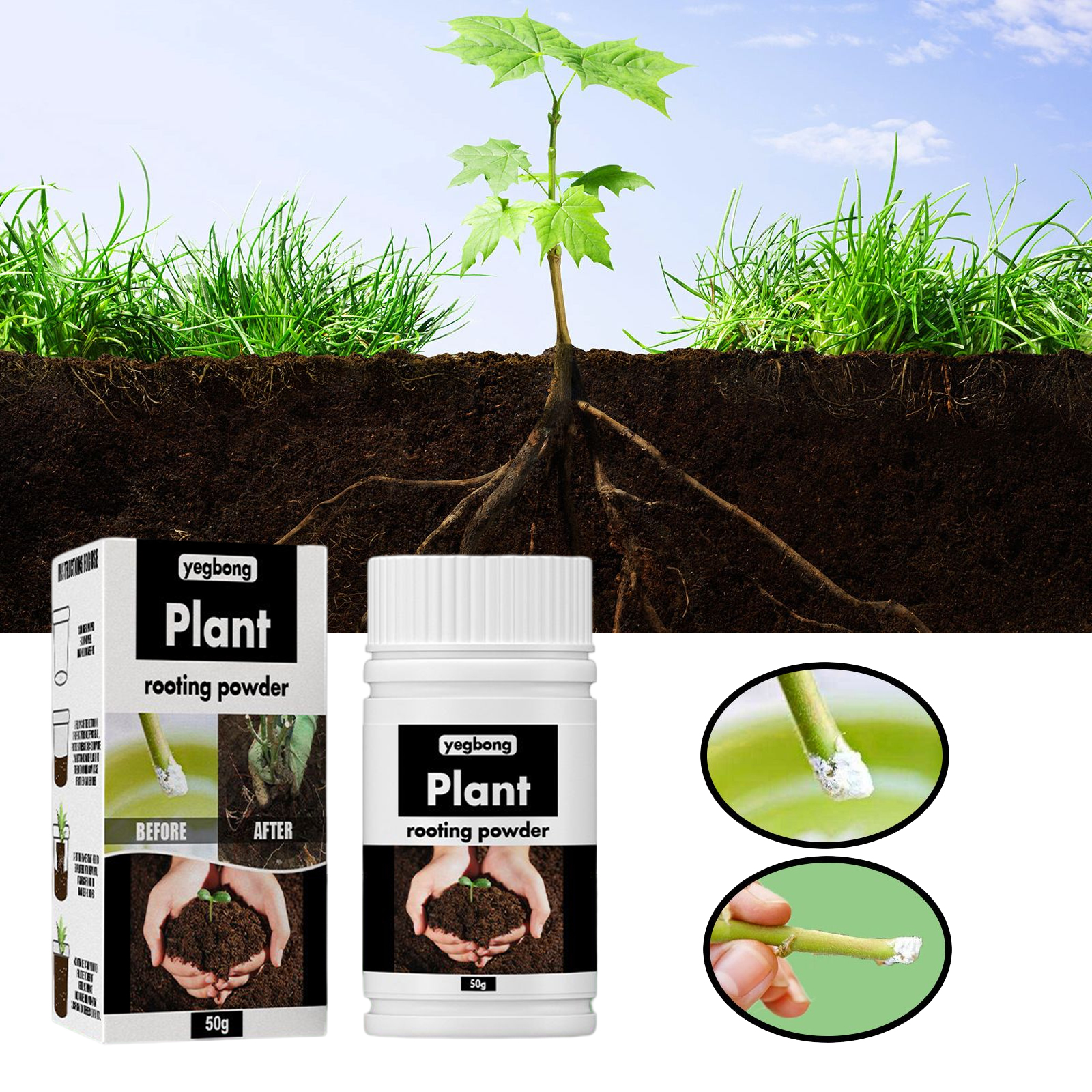 Roots Nutrition & Fitness Inglewood Photos - 1Rare Plant Rooting Powder Plant Fruit