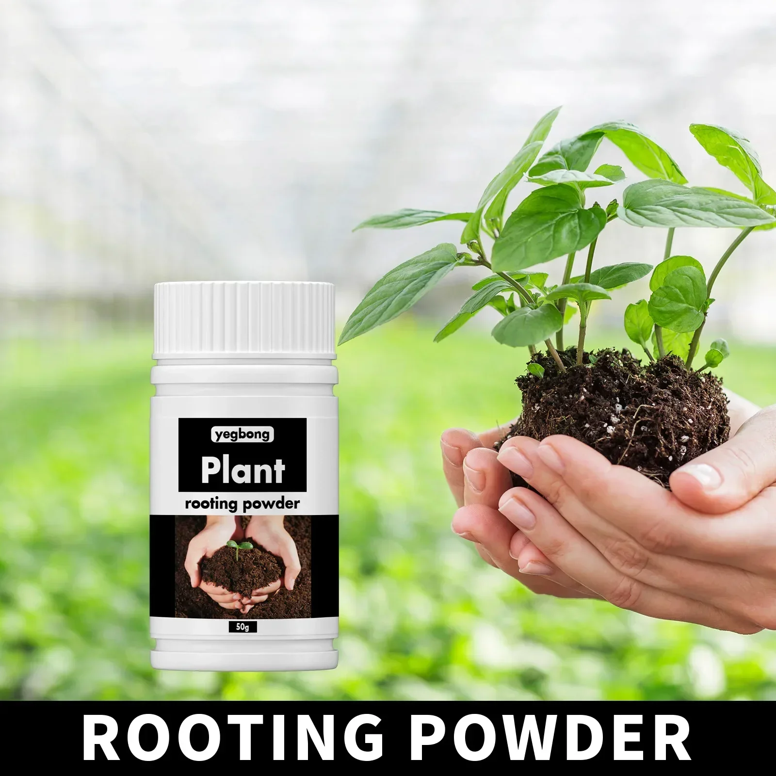 Rare Plant Rooting Powder Plan - Roots Nutrition & Fitness Inglewood Photos ulasan dan harga
