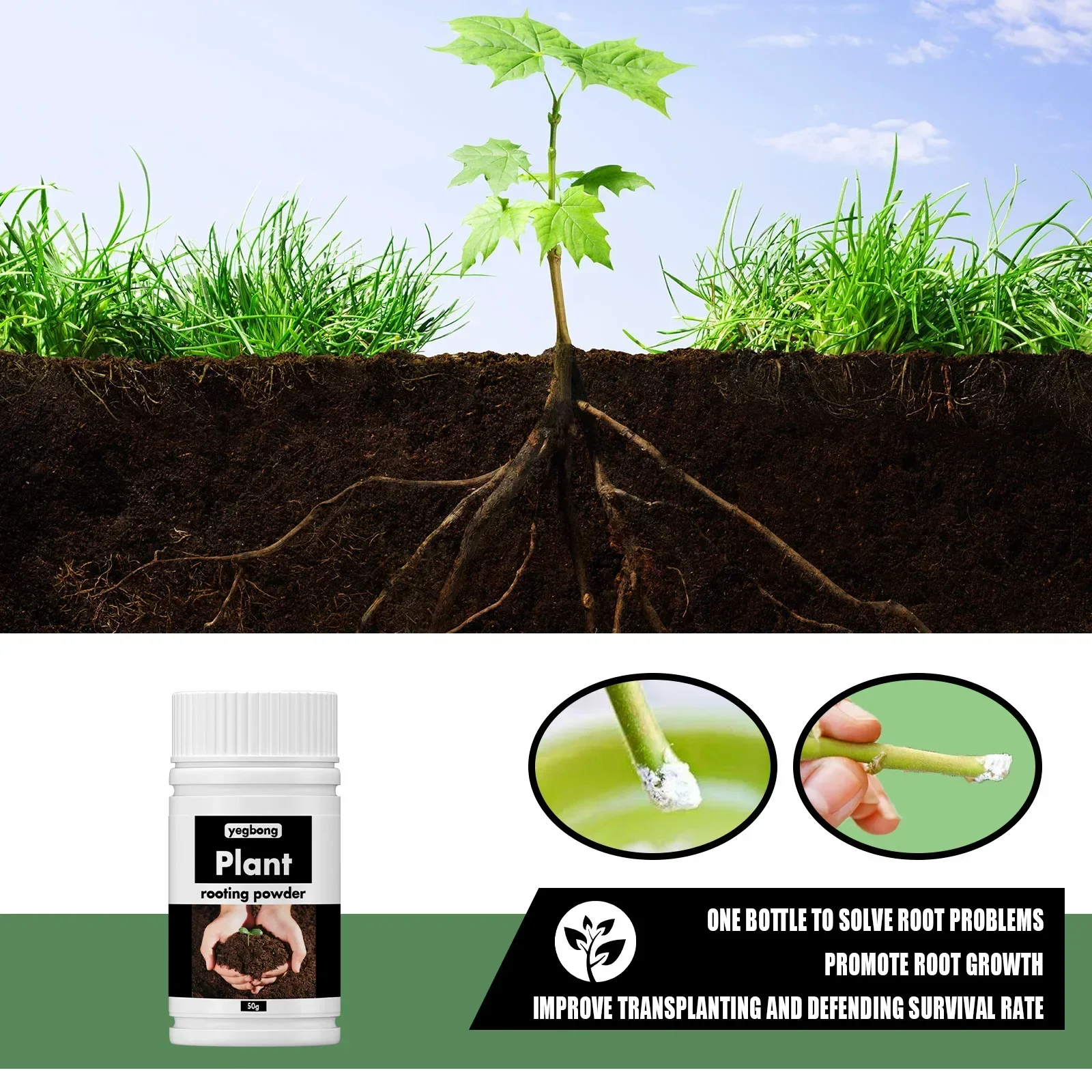Rare Plant Rooting Powder Plan - Roots Nutrition & Fitness Inglewood Photos ulasan dan harga