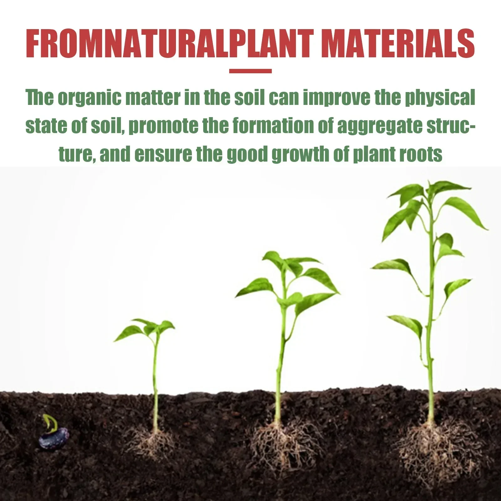 Rare Plant Rooting Powder Plan - Roots Nutrition & Fitness Inglewood Photos ulasan dan harga
