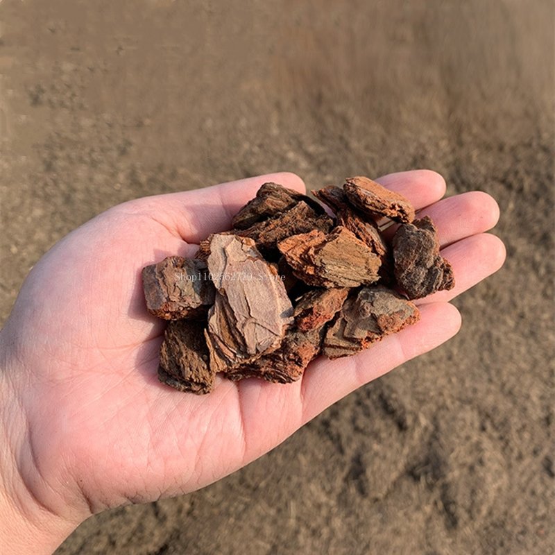 500g Fermented Pine Bark Natur - Roots Nutrition & Fitness Inglewood Photos ulasan dan harga