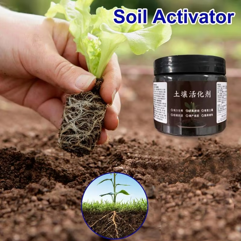 100g Soil Activator Mineral So - Roots Nutrition & Fitness Inglewood Photos ulasan dan harga